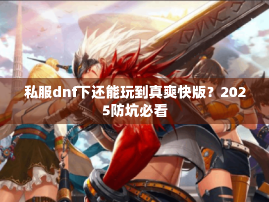 私服dnf下还能玩到真爽快版？2025防坑必看