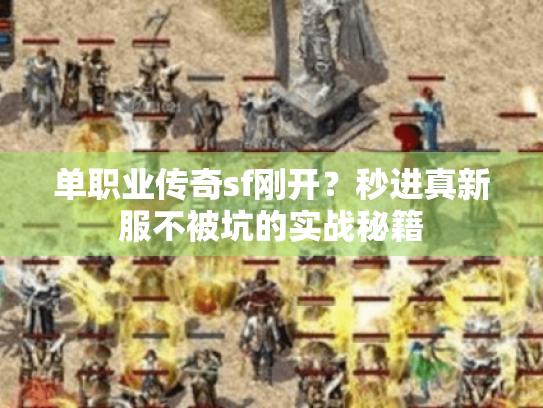 单职业传奇sf刚开？秒进真新服不被坑的实战秘籍