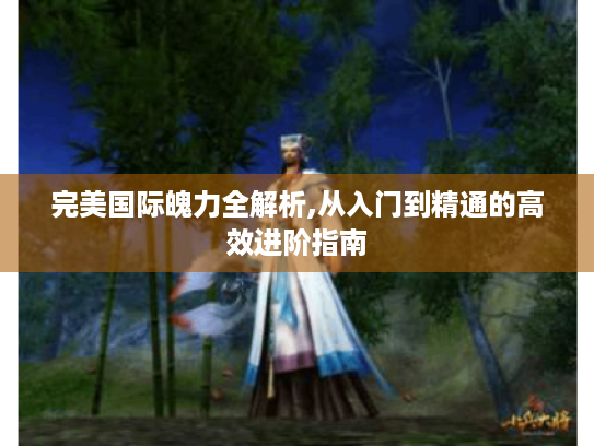 完美国际魄力全解析,从入门到精通的高效进阶指南 完美国际魄力全解析,从入门到精通的高效进阶指南