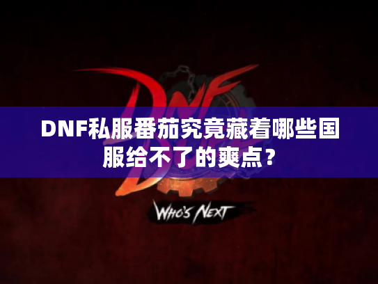 DNF私服番茄究竟藏着哪些国服给不了的爽点？