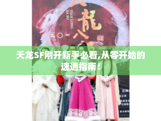 天龙SF刚开新手必看,从零开始的速通指南! 天龙SF刚开新手必看,从零开始的速通指南!