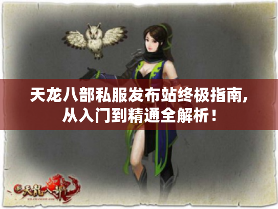 天龙八部私服发布站终极指南,从入门到精通全解析！