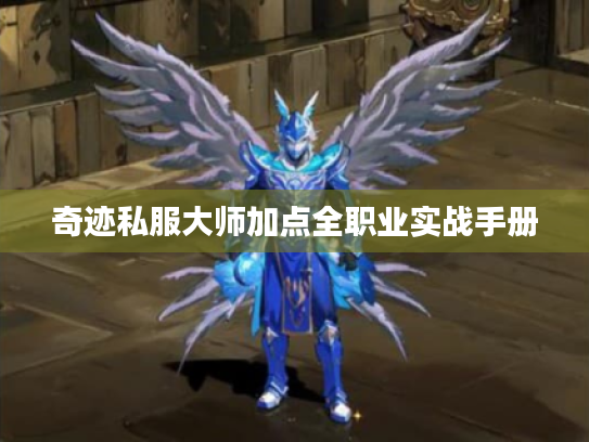奇迹私服大师加点全职业实战手册