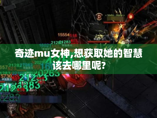 奇迹mu女神,想获取她的智慧该去哪里呢?