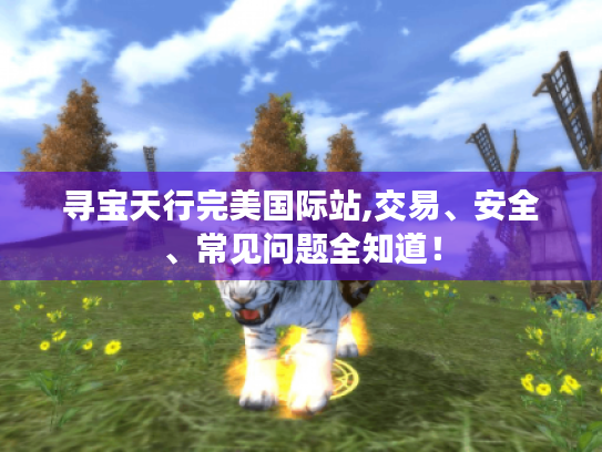 寻宝天行完美国际站,交易、安全、常见问题全知道！
