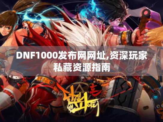 DNF1000发布网网址,资深玩家私藏资源指南