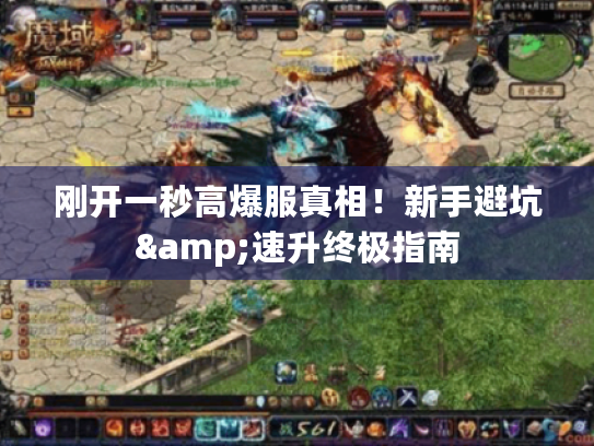 刚开一秒高爆服真相！新手避坑&速升终极指南