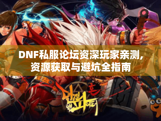 DNF私服论坛资深玩家亲测,资源获取与避坑全指南