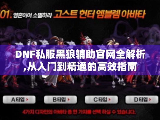 DNF私服黑狼辅助官网全解析,从入门到精通的高效指南