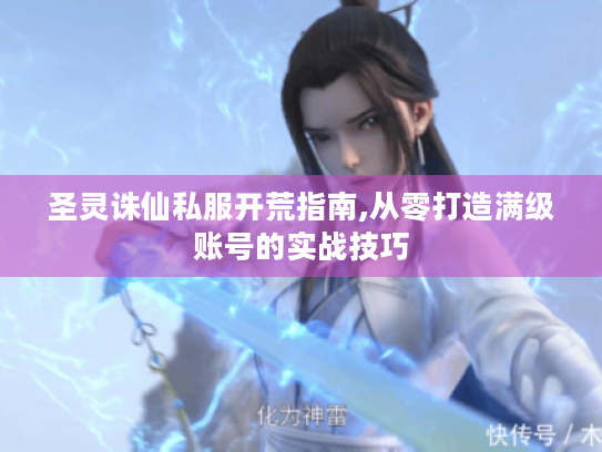 圣灵诛仙私服开荒指南,从零打造满级账号的实战技巧