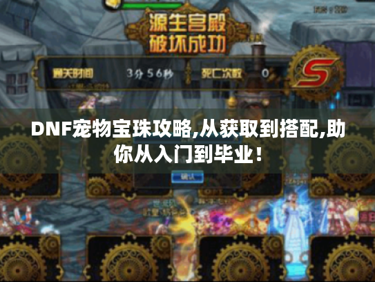 DNF宠物宝珠攻略,从获取到搭配,助你从入门到毕业! DNF宠物宝珠攻略,从获取到搭配,助你从入门到毕业!