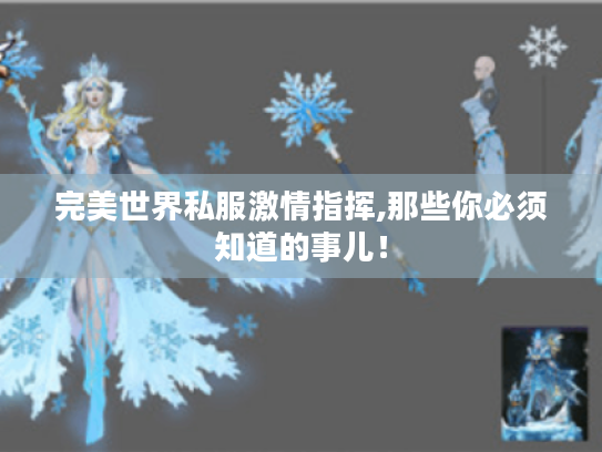 完美世界私服激情指挥,那些你必须知道的事儿！