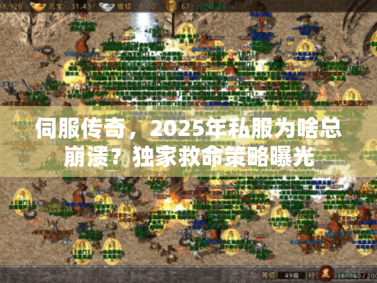 伺服传奇，2025年私服为啥总崩溃？独家救命策略曝光