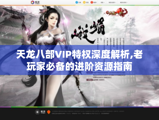天龙八部VIP特权深度解析,老玩家必备的进阶资源指南