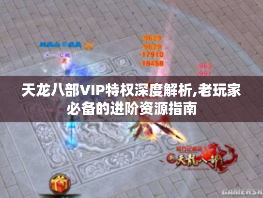 天龙八部VIP特权深度解析,老玩家必备的进阶资源指南