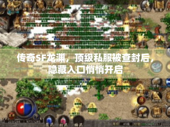 传奇SF龙渊，顶级私服被查封后，隐藏入口悄悄开启