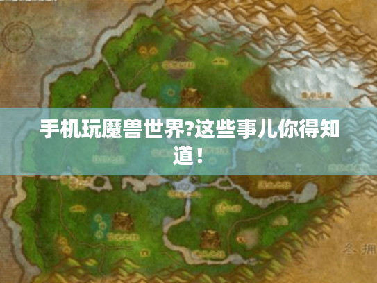 手机玩魔兽世界?这些事儿你得知道！