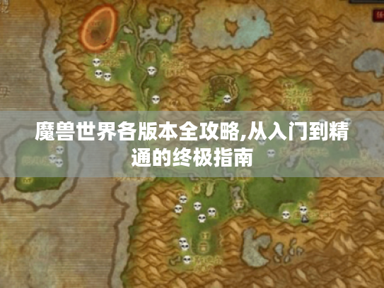 魔兽世界各版本全攻略,从入门到精通的终极指南