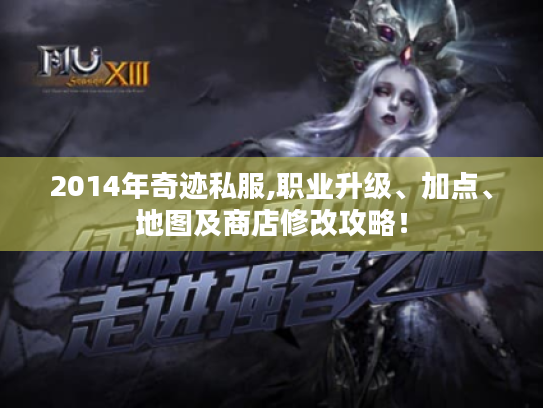 2014年奇迹私服,职业升级、加点、地图及商店修改攻略！