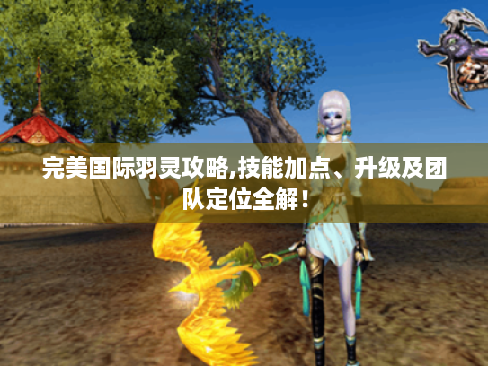 完美国际羽灵攻略,技能加点、升级及团队定位全解! 完美国际羽灵攻略,技能加点、升级及团队定位全解!