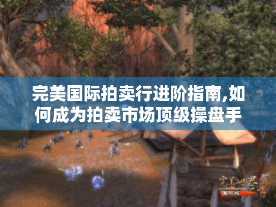 完美国际拍卖行进阶指南,如何成为拍卖市场顶级操盘手 完美国际拍卖行进阶指南,如何成为拍卖市场顶级操盘手