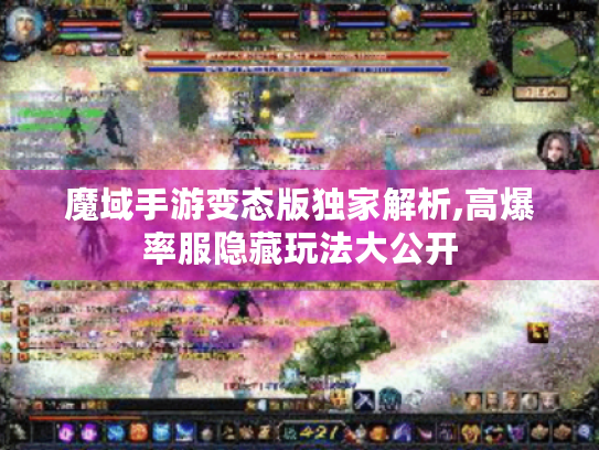 魔域手游变态版独家解析,高爆率服隐藏玩法大公开
