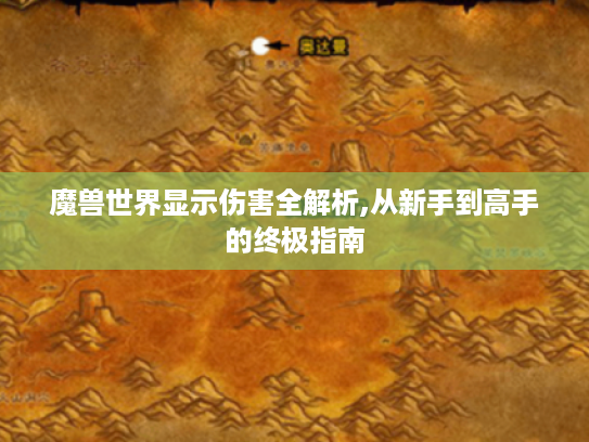 魔兽世界显示伤害全解析,从新手到高手的终极指南