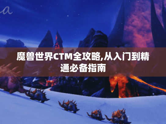 魔兽世界CTM全攻略,从入门到精通必备指南