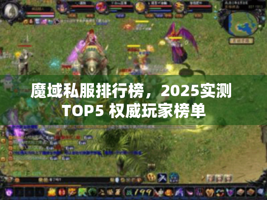 魔域私服排行榜,2025实测 TOP5 权威玩家榜单 魔域私服排行榜,2025实测 TOP5 权威玩家榜单