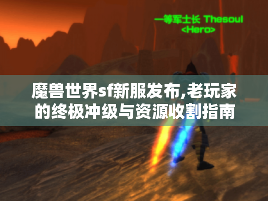 魔兽世界sf新服发布,老玩家的终极冲级与资源收割指南