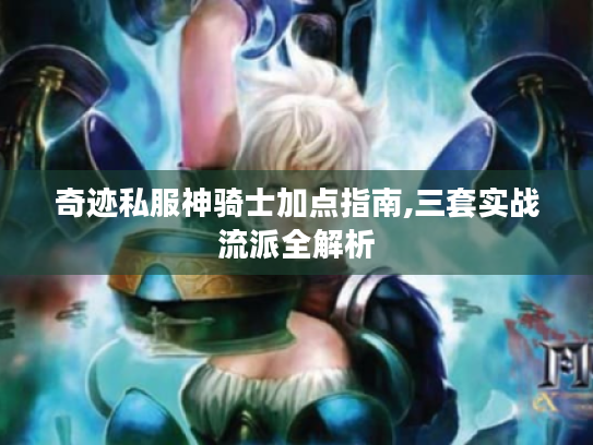 奇迹私服神骑士加点指南,三套实战流派全解析