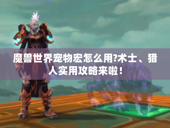 魔兽世界宠物宏怎么用?术士、猎人实用攻略来啦！