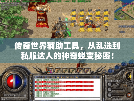传奇世界辅助工具，从乱选到私服达人的神奇蜕变秘密！