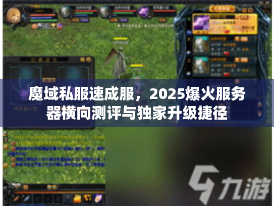 魔域私服速成服，2025爆火服务器横向测评与独家升级捷径