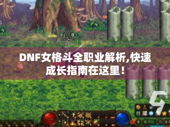 DNF女格斗全职业解析,快速成长指南在这里！