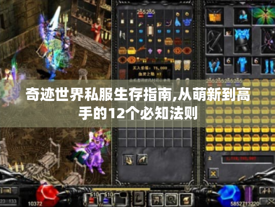 奇迹世界私服生存指南,从萌新到高手的12个必知法则