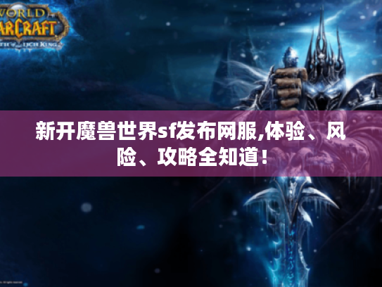 新开魔兽世界sf发布网服,体验、风险、攻略全知道！
