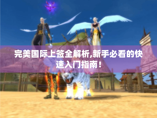 完美国际上签全解析,新手必看的快速入门指南！