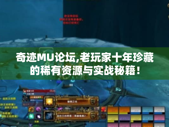 奇迹MU论坛,老玩家十年珍藏的稀有资源与实战秘籍! 奇迹MU论坛,老玩家十年珍藏的稀有资源与实战秘籍!