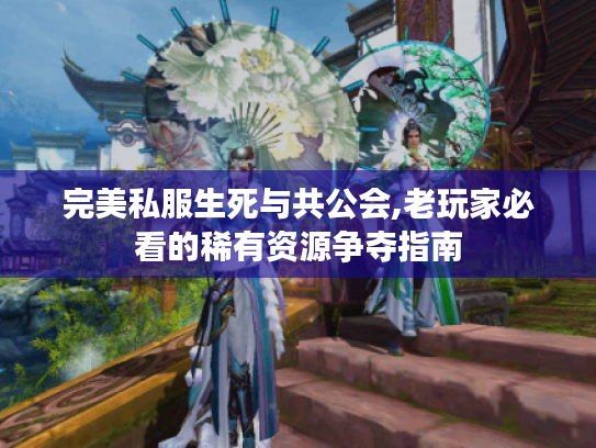 完美私服生死与共公会,老玩家必看的稀有资源争夺指南