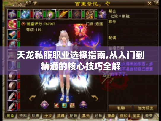 天龙私服职业选择指南,从入门到精通的核心技巧全解