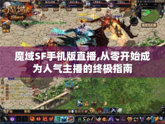 魔域SF手机版直播,从零开始成为人气主播的终极指南