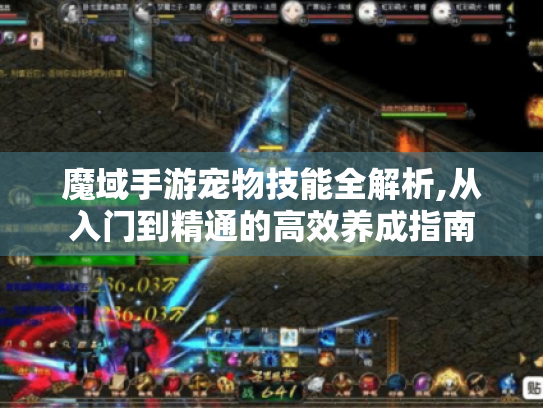 魔域手游宠物技能全解析,从入门到精通的高效养成指南 魔域手游宠物技能全解析,从入门到精通的高效养成指南