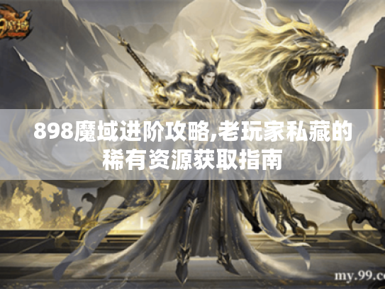 898魔域进阶攻略,老玩家私藏的稀有资源获取指南