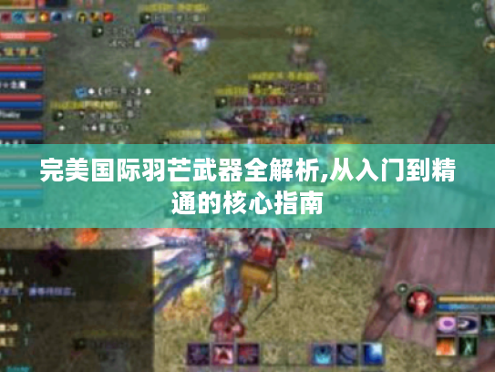 完美国际羽芒武器全解析,从入门到精通的核心指南 完美国际羽芒武器全解析,从入门到精通的核心指南