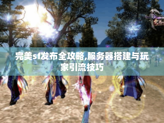完美sf发布全攻略,服务器搭建与玩家引流技巧