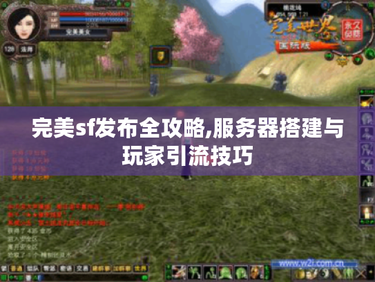完美sf发布全攻略,服务器搭建与玩家引流技巧