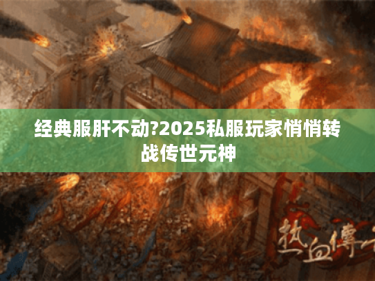 经典服肝不动?2025私服玩家悄悄转战传世元神