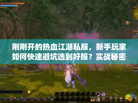 刚刚开的热血江湖私服，新手玩家如何快速避坑选到好服？实战秘密大公开！