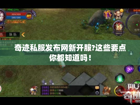 奇迹私服发布网新开服?这些要点你都知道吗！